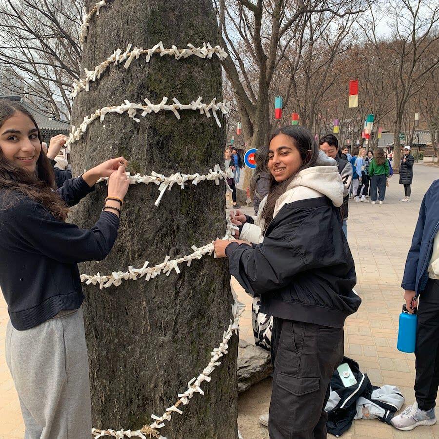 Two smiling young women tie pieces of paper to a large tree trunk covered in similar papers, with a group of people and colorful lanterns visible in the background on a paved walkway.