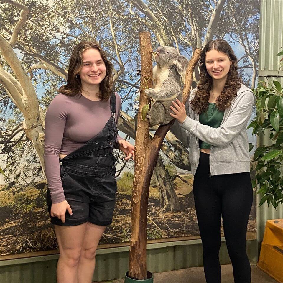 Two young women smile while standing beside a koala perched on a tree branch indoors, with a mural of eucalyptus trees in the background. One woman touches the koala gently.