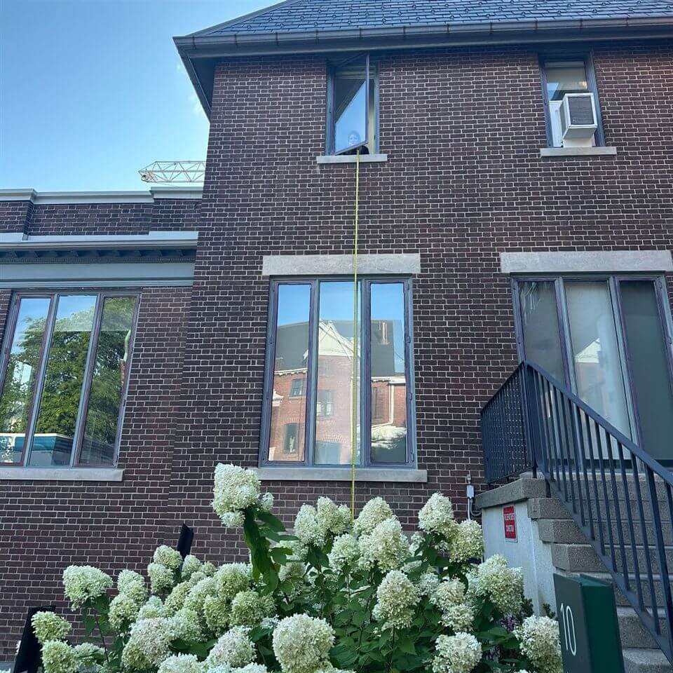 A person looks out from a second-story window of a brick house, holding a long yellow tape measure that extends down toward a hydrangea bush with white flowers by the front steps.