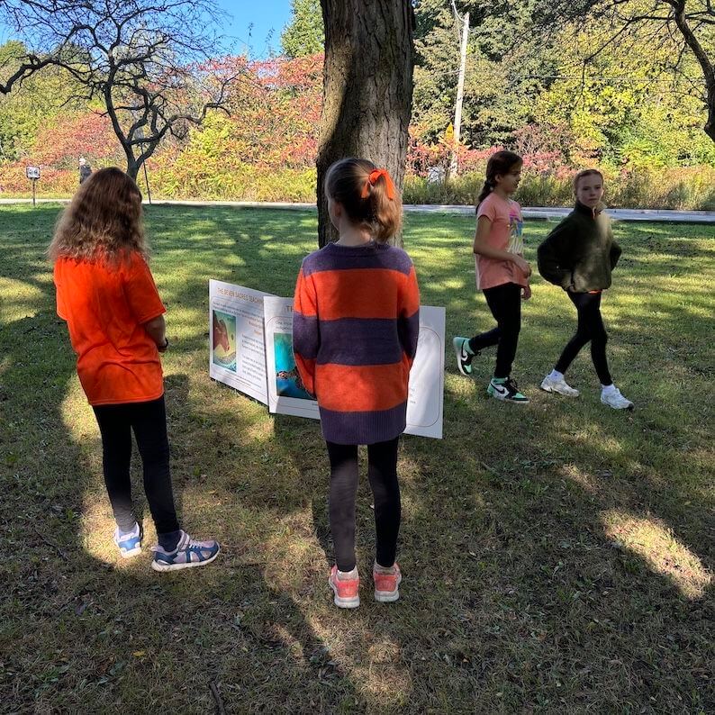 Four young girls stand and walk in a grassy, sunlit park. Two girls are reading a display board placed on the ground, while the other two walk nearby under the shade of trees.