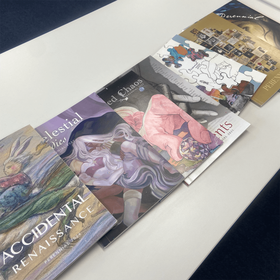 Six colorful magazines with artistic covers are arranged in a neat row on a white table, each featuring different illustrations and titles, including "ACCIDENTAL RENAISSANCE.