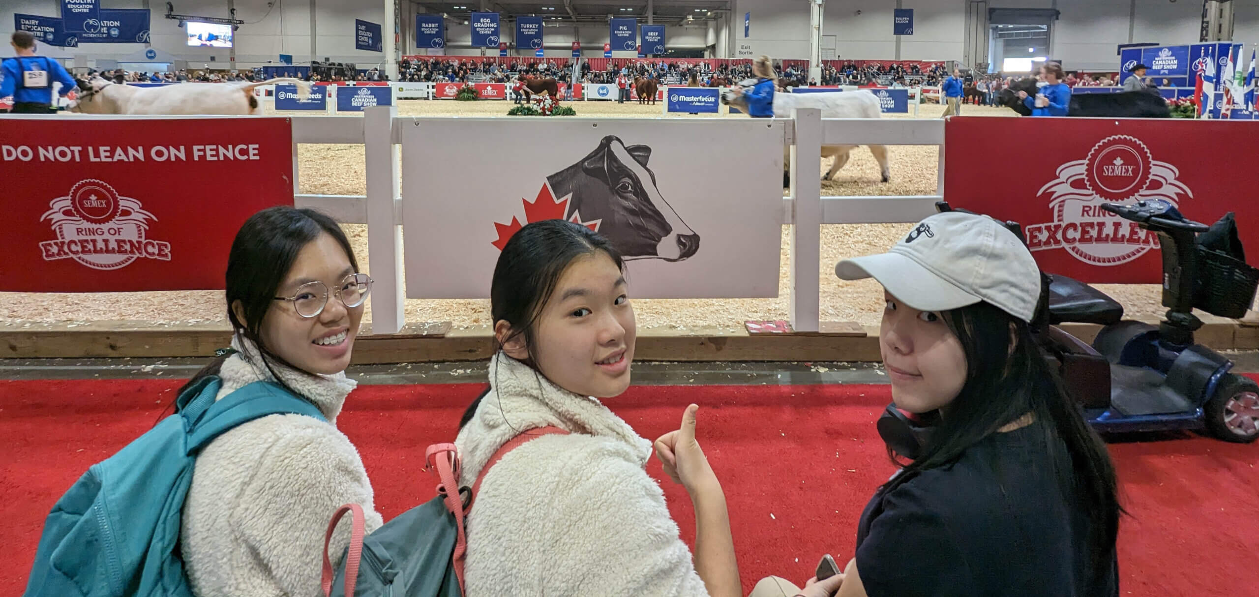 Three young people sit on a red carpet in front of a cattle show ring, smiling and looking back at the camera. Behind them is a white fence with cow-themed signs and cows walking in the ring.