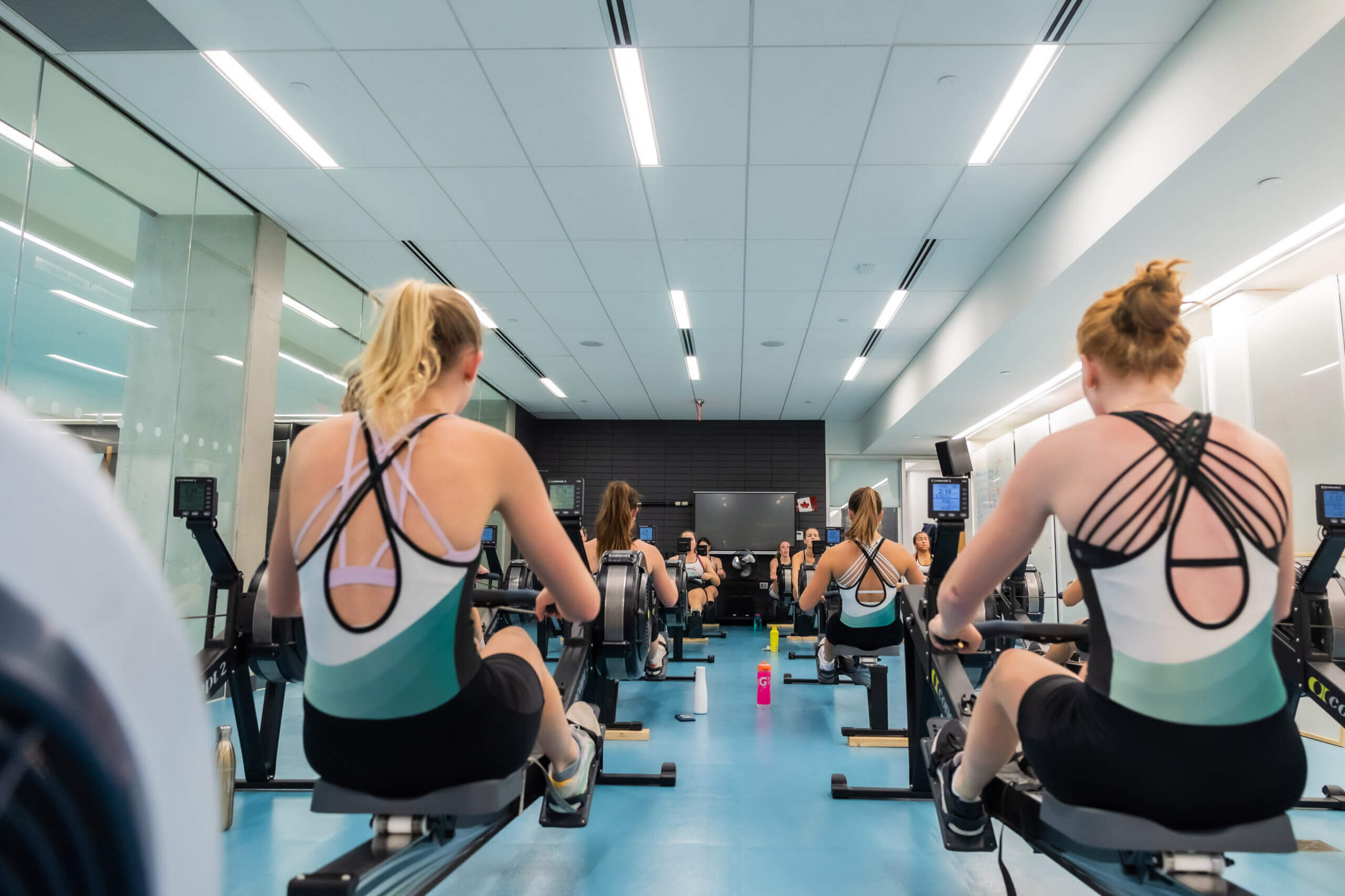 A group of women in athletic wear using rowing machines in a bright, modern gym with mirrors and blue flooring. The focus is on their backs as they exercise in a class setting.
