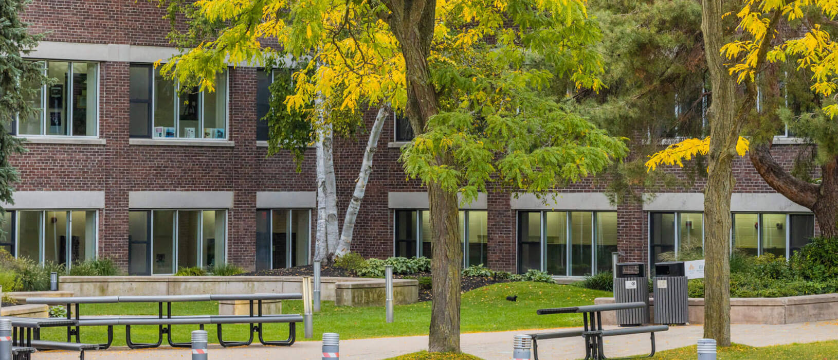 A brick building with large windows is seen behind green lawns and trees with yellow autumn leaves. Outdoor benches and trash bins are placed along a paved walkway in the foreground.