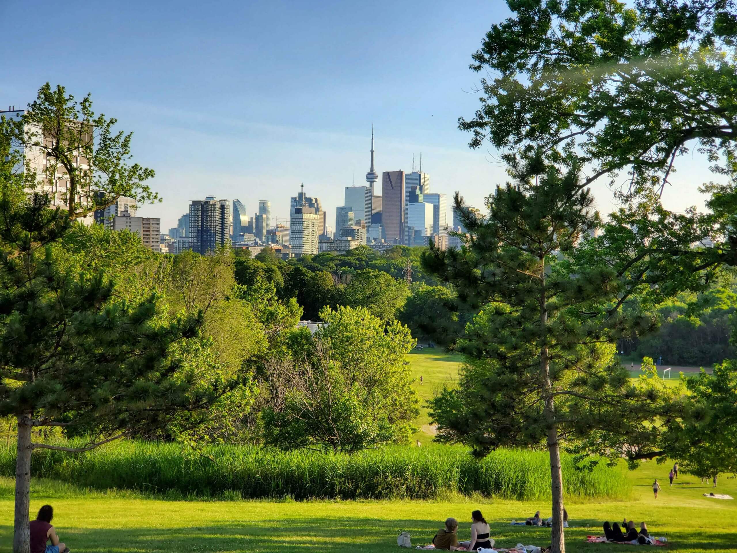 People relax on the grass in a sunny park with lush green trees, while a city skyline with tall buildings and a prominent tower rises in the background under a clear blue sky.