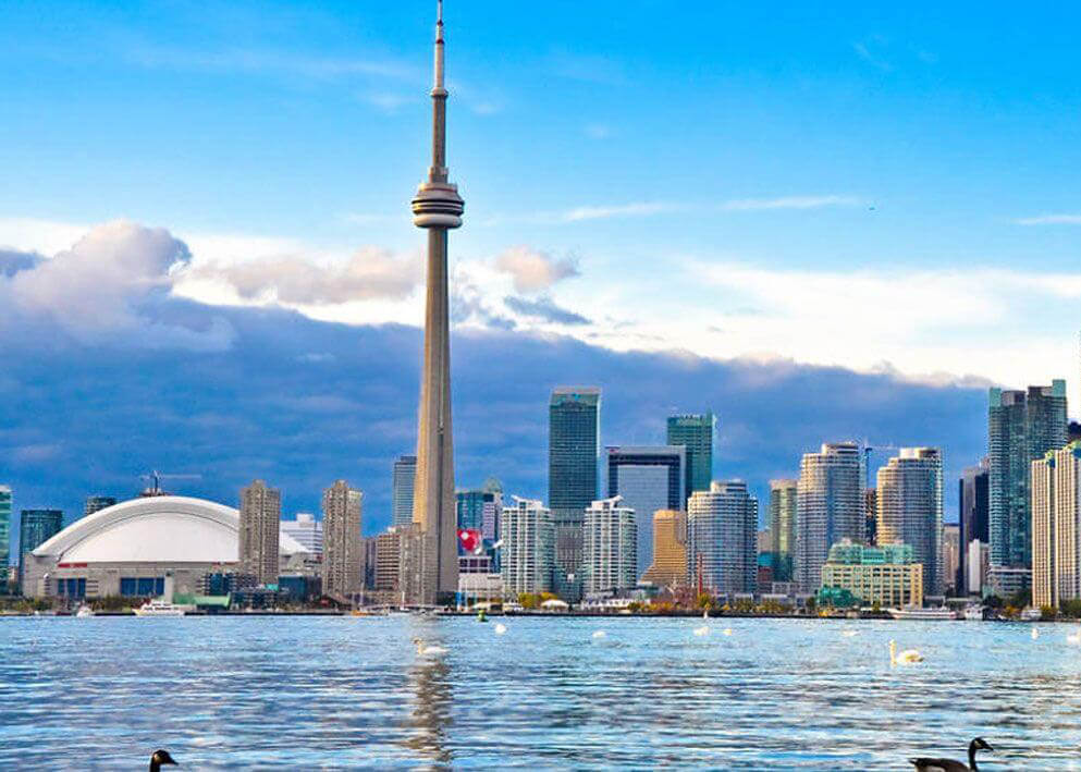 Toronto skyline featuring the CN Tower and Rogers Centre, with modern skyscrapers and blue sky in the background, seen across the water with ducks swimming in the foreground.