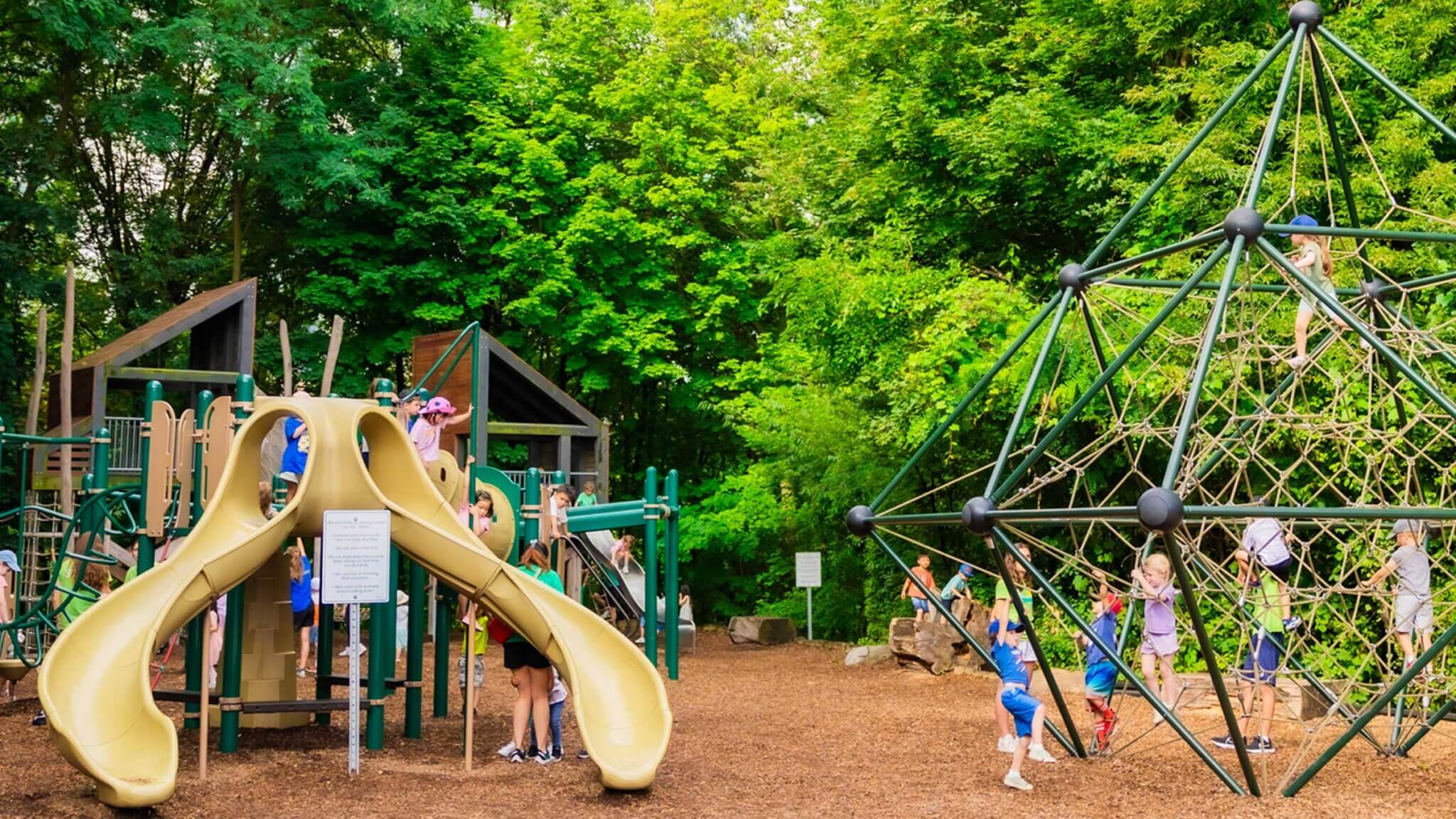 Branksome Camps | Life at Camp